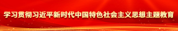 爱操B插B学习贯彻习近平新时代中国特色社会主义思想主题教育